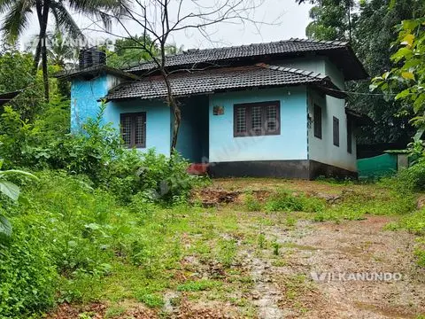 വണ്ടൂർ കാട്ടുമുണ്ടക്ക് അടുത്ത് 12 സെന്റ് സ്ഥലവും ഓടിട്ട വീടും വിൽപനക്ക്