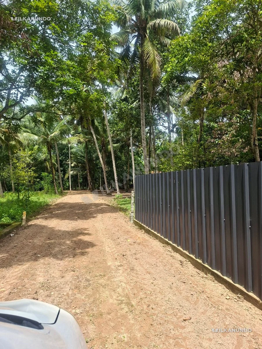 ആലപ്പുഴ ജില്ല ചെട്ടികുളങ്ങര, പത്തിയൂർ ചർച്ചിന് സമീപം