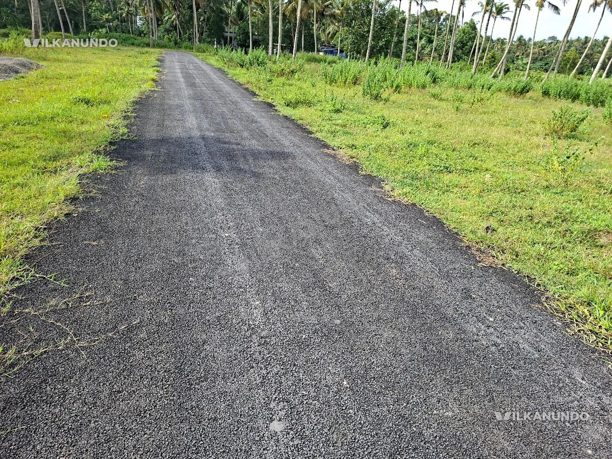 ആലപ്പുഴ ജില്ല കറ്റാനം near town