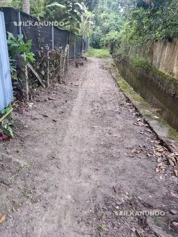 ആലപ്പുഴ ജില്ല കാർത്തികപള്ളി, ചിങ്ങോലി near NTPC,SCHOOL 24സെന്റും വീടും (ആട്ടോ വഴി )
