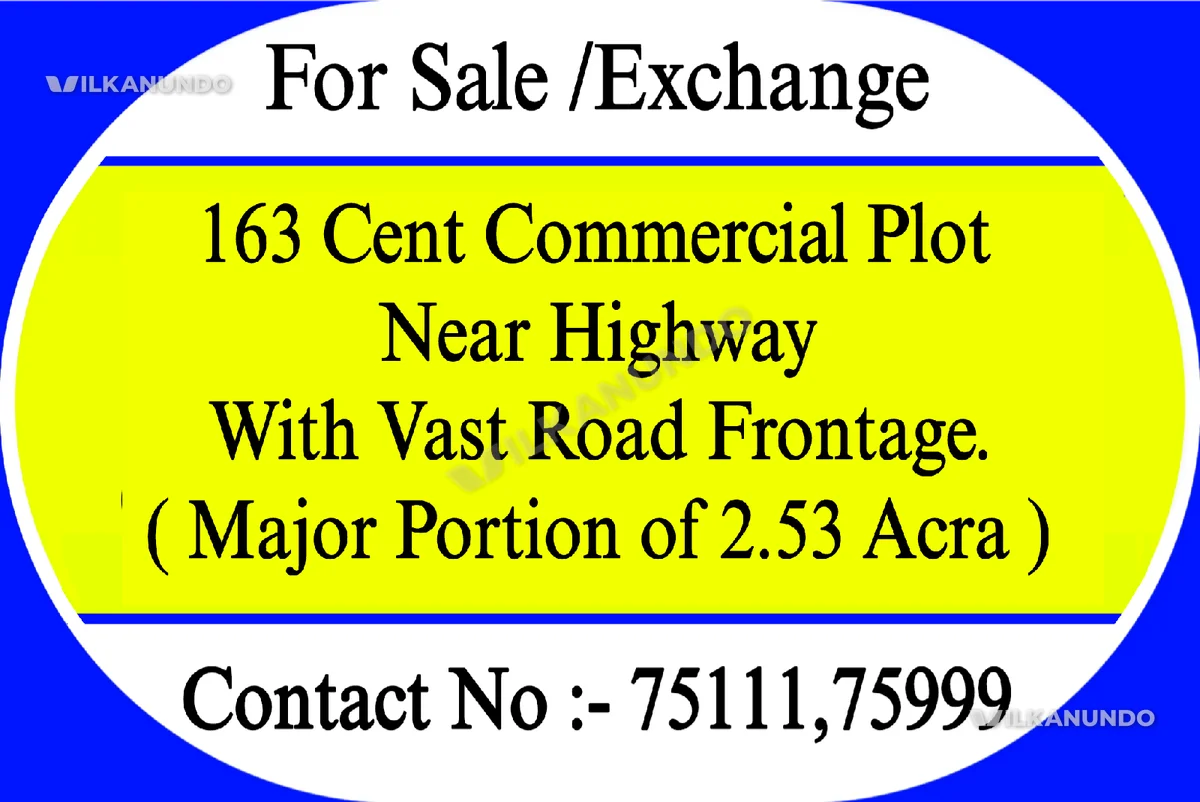 163 Cent Near Highway With Vast Road Frontage (Major Portion of 2.53 Acra)