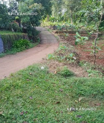 45cent land for sale near Thodupuzha to 9 kilometers