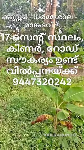 17 സെന്റ് സ്ഥലം. കണ്ണൂർ -ധർമ്മശാല -മാങ്കടവ്