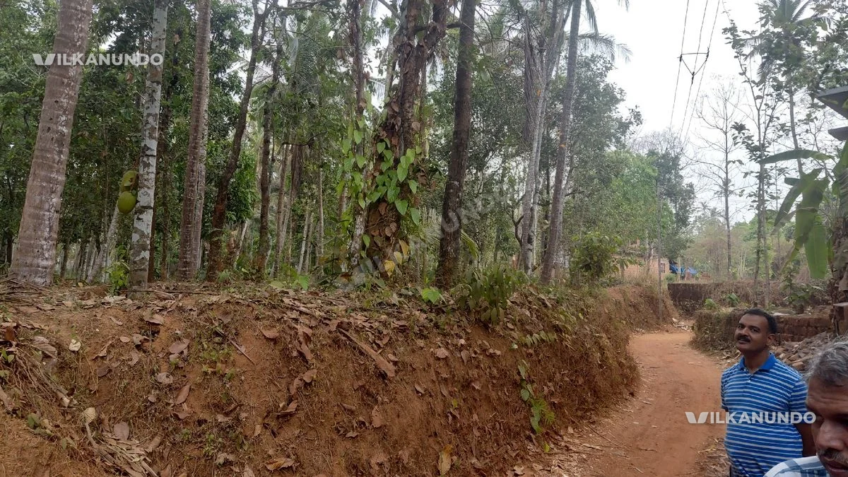 16 cent land for sale