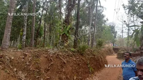 16 cent land for sale