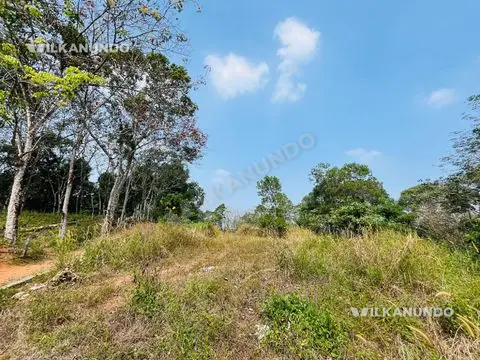 land