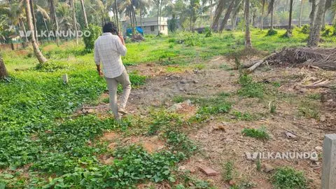 plot for sale