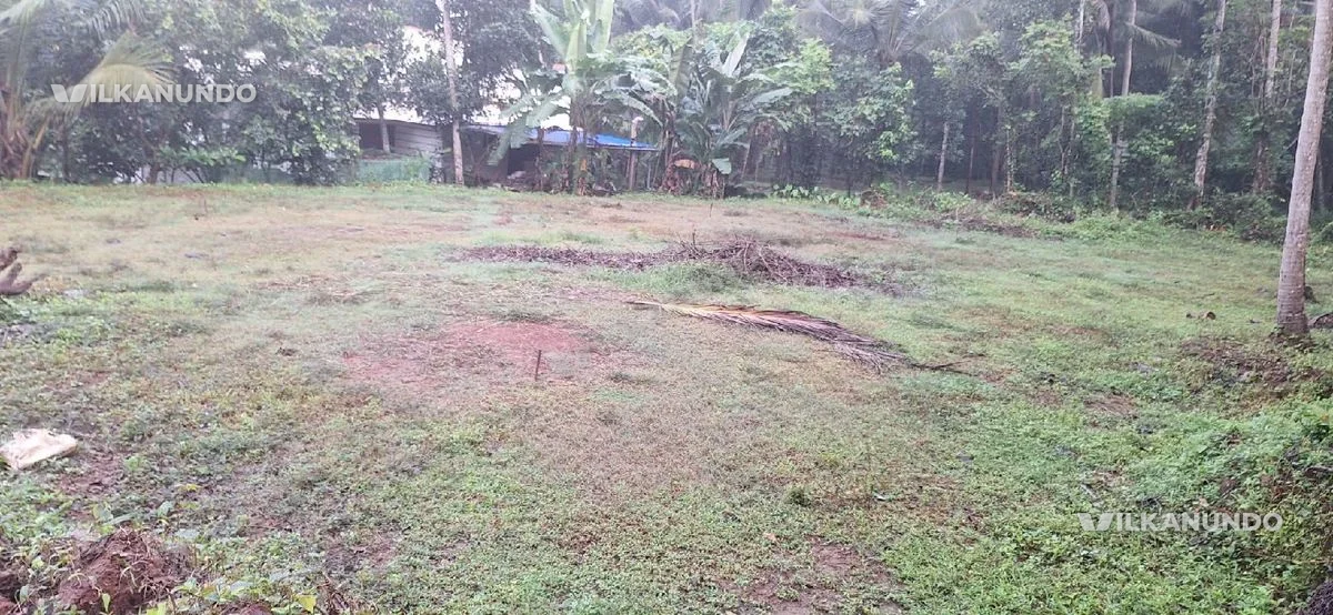 മലപ്പുറം ജില്ലയിൽ കോട്ടക്കൽ മുനിസിപ്പൽ പരിധിയിൽ (ഈസ്റ്റ് വില്ലൂർ)ഏരിയയിൽ 18.25 സെന്റ് ഹൌസ് പ്ലോട്ട് വില്പനക്ക്.