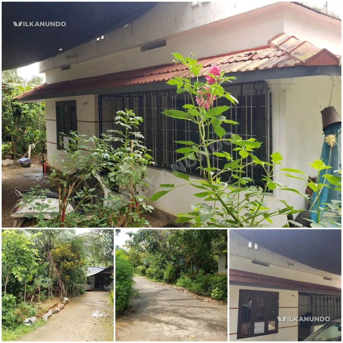 വയനാട്, മീനങ്ങാടി ടൗണിനടുത്ത് കൽപ്പറ്റ റൂട്ടിൽ 4 ബെഡ്റൂം വീടും 10 സെന്റ് സ്ഥലവും വില്പനയ്ക്ക്.