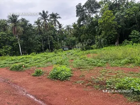 പറമ്പ് വില്പനയ്ക്ക്