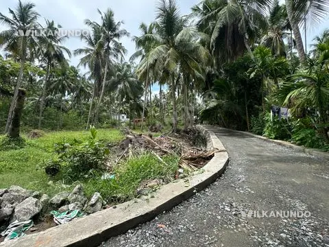 private 60 cent plot elathur