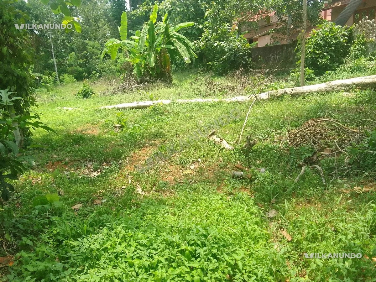 9cents of houseplot for sale at kaviyoor.near thiruvalla in pathanamthitta district.