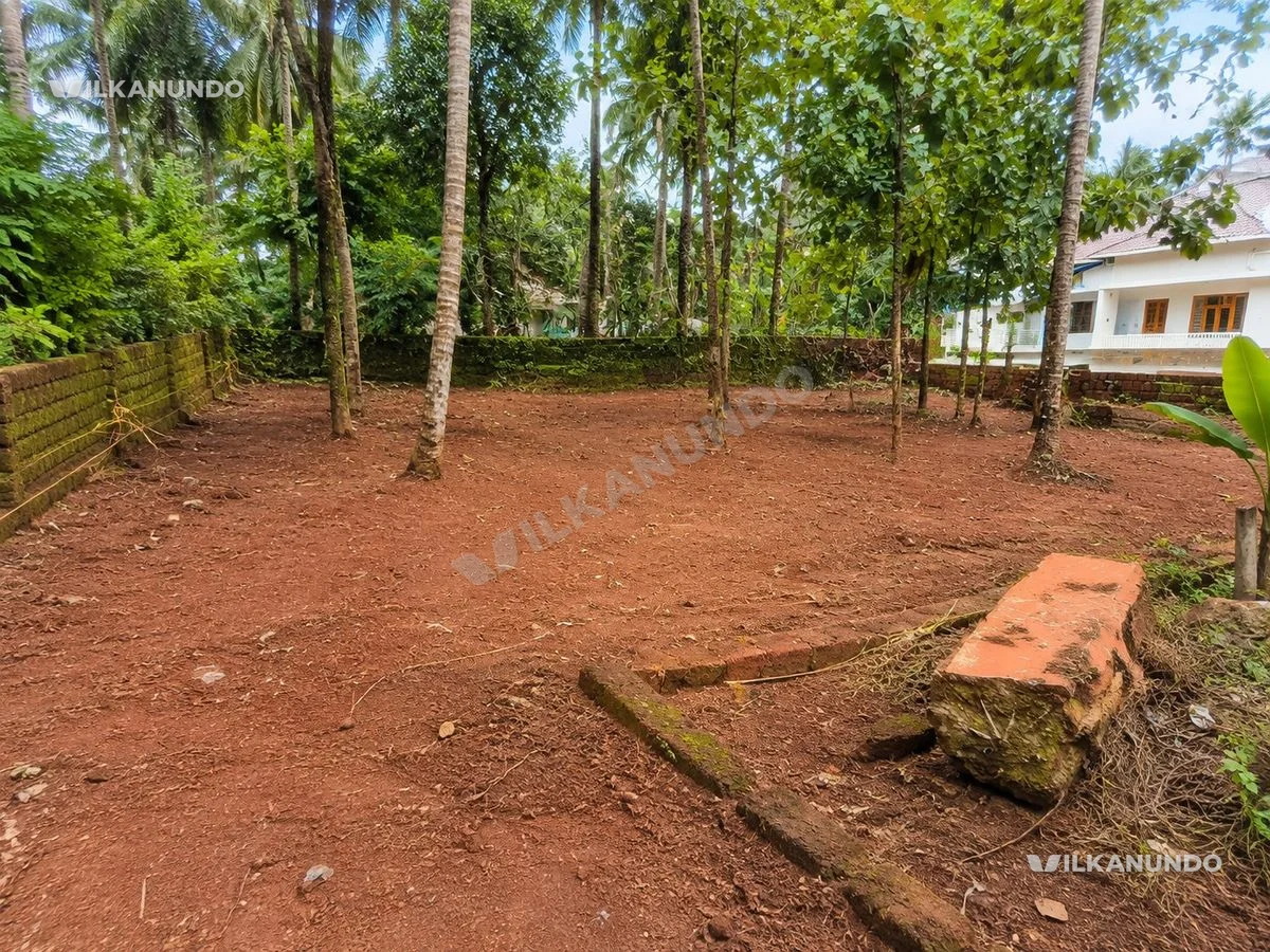 10.5 Cent Residential Plot for Sale – Mele Chovva, Elayavoor, Kannur