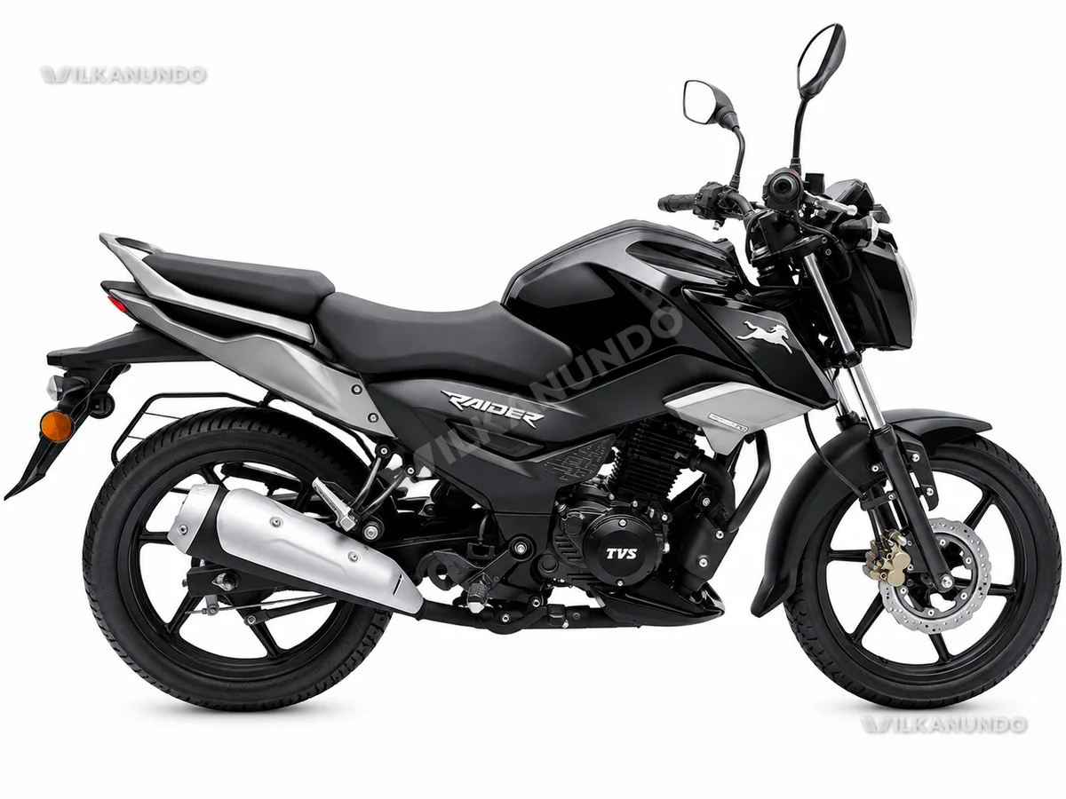 tvs raider 125