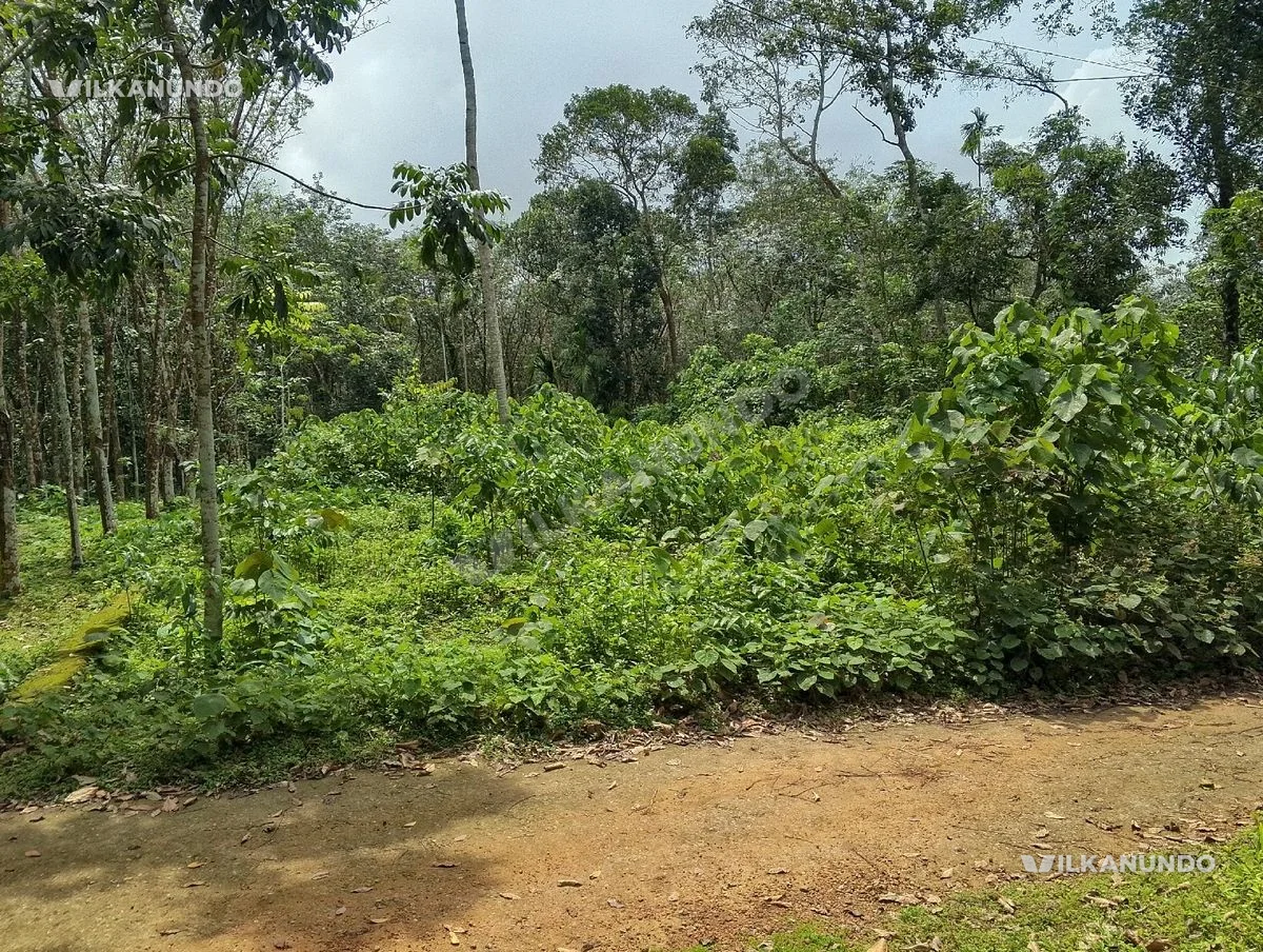 20 cent kodukanund pandalam