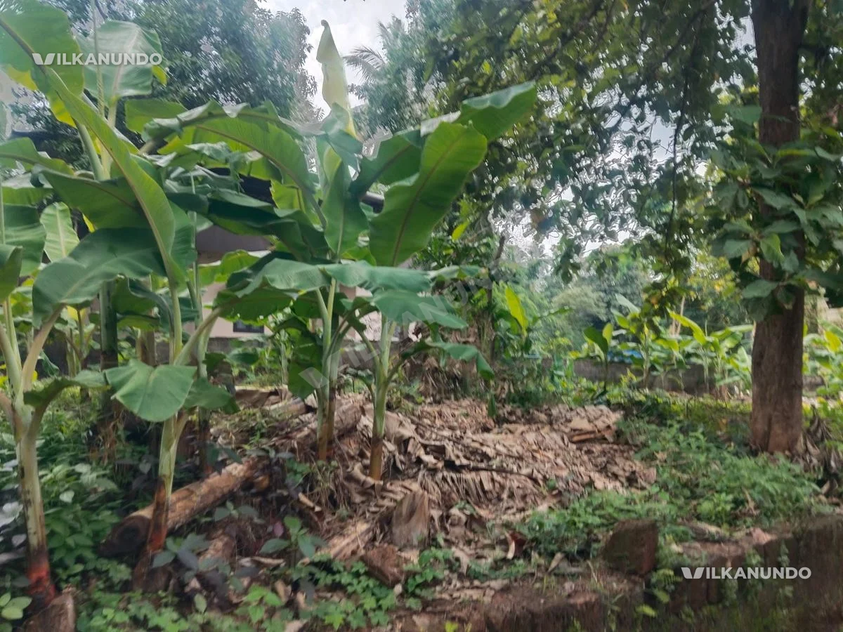 മഞ്ചേരി ടൗണിനടുത്ത് 7.5 cent സഥലം വിൽപനക്ക്..