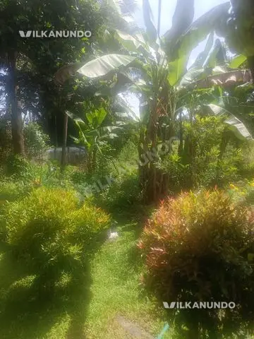 for sale near vadakekadu kunnamkulam