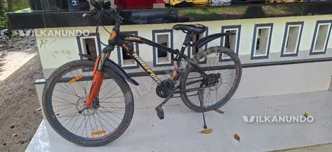 91 Leopard Bicycle