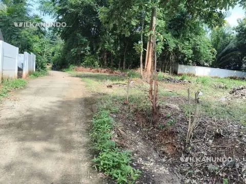 പാലക്കാട് എലപ്പുള്ളി ശ്രീനാരായണ സ്കൂൾ  പരിസരത്ത് 20 സെന്റ് പറമ്പ് വില്പനയ്ക്ക്...