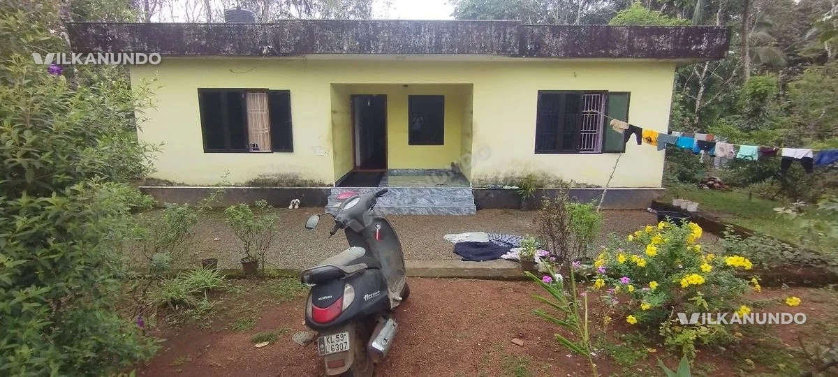 അർജെന്റ് sail