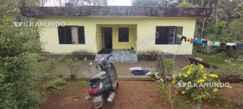 അർജെന്റ് sail