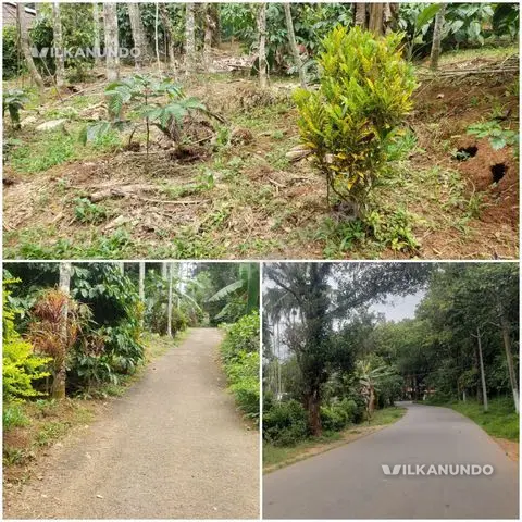 പുൽപള്ളി റോഡിൽ കുപ്പാടിയിൽ മെയിൻ റോഡിൽ നിന്ന് 100 മീറ്റർ ദൂരത്തിൽ ടാർ റോഡ് ഫ്രണ്ടേജിൽ 10 cent ഹൗസ്പ്ലോട്ട് വില്പനയ്ക്ക്.