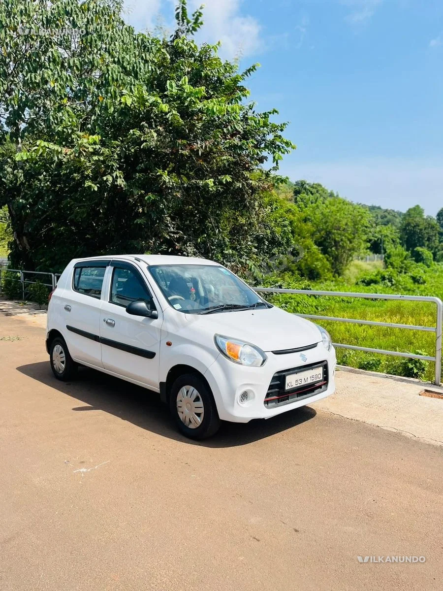 Alto 800 for sale