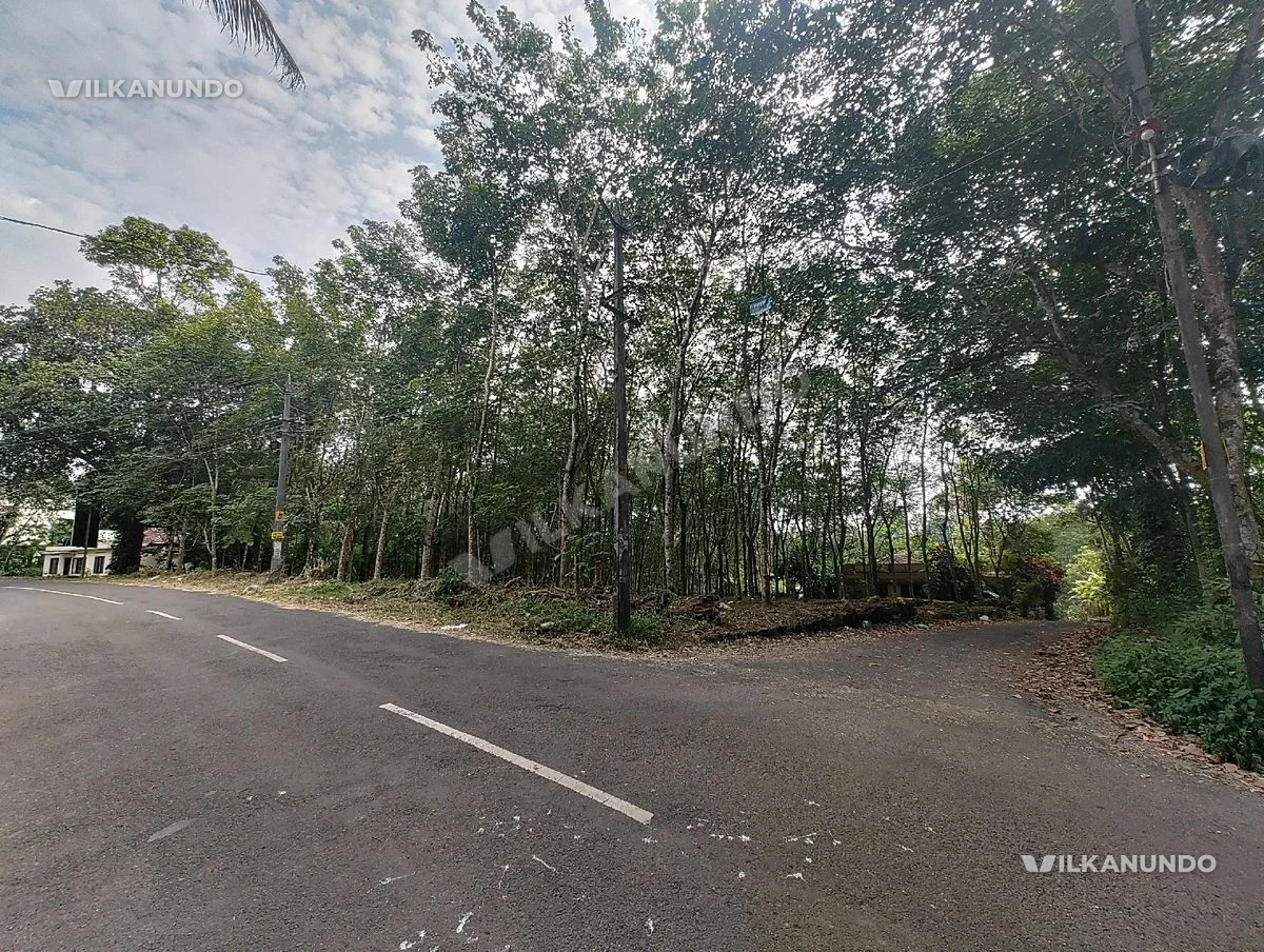 Land for Sale(Near Madappally)