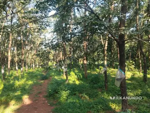 മഞ്ചേരി ടൗണിന്റെ അടുത്തായി 1.25 acre സ്ഥലം വിൽപനക്ക്