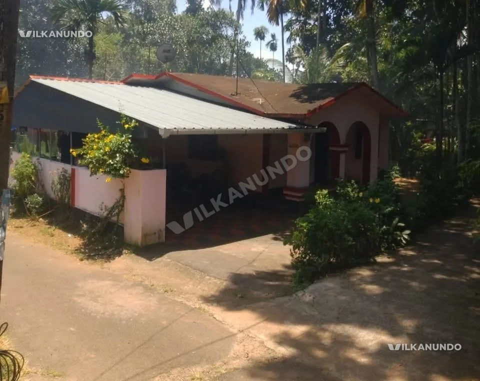 തുമ്പൂർ ക്രിസ്ത്യൻ പള്ളിക്കു സമിപം 1100സ്ക്വർ ഫീറ്റ് വീട് വിൽപനക്ക്