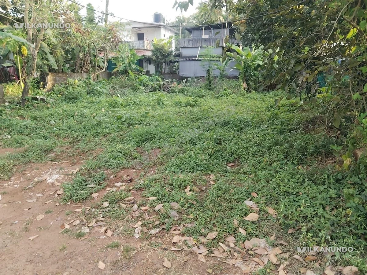 മഞ്ചേരി ടൗണിനടുത്തായി 7 സെൻറ് സ്ഥലം വിൽപനക്ക്