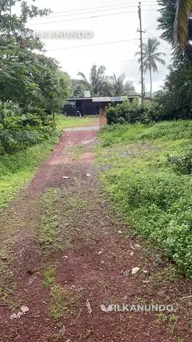 plain land for sale
