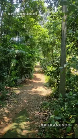 15 or 20 cent plot for sale muvattupuzha periguzha
