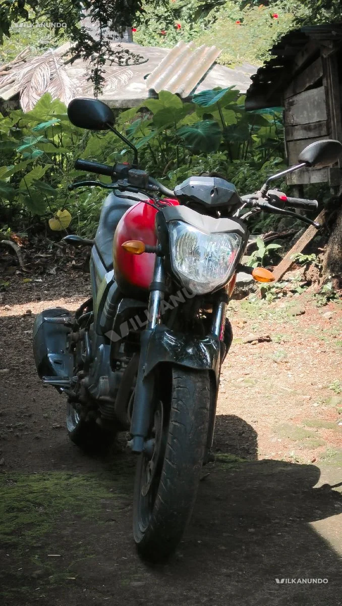 FZ16