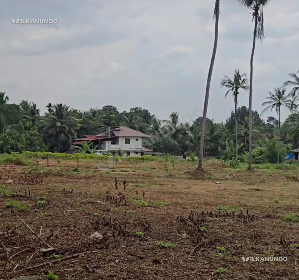 മമ്പാട് കോളേജിന്റെ അടുത്തായി ഹൗസ് പ്ലോട്ടുകൾ വിൽപനക്ക്.