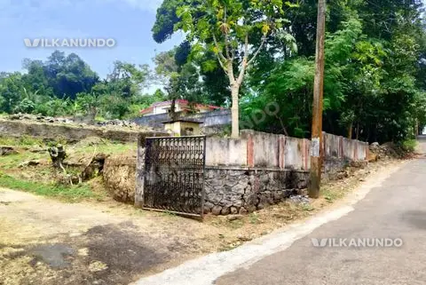പത്തനംതിട്ട ജില്ലറാന്നി പേട്ട ടൗണിന് സമീപ് 12 സെന്റിന്റെ 2 പ്ലോട്ടുകൾ വില്പനക്ക്.