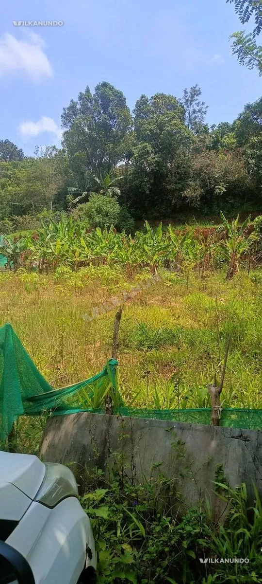 ഇടുക്കി ജില്ല ചേറ്റുകുഴി അടുത്ത് 26 സെറ്റ് ഹൗസ് പ്ലോട്ട് വില്പനയ്ക്ക്