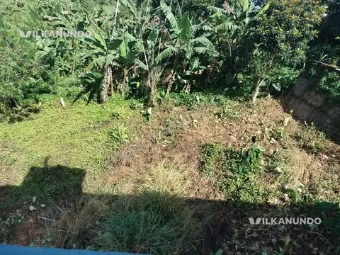 kalpetta munderi