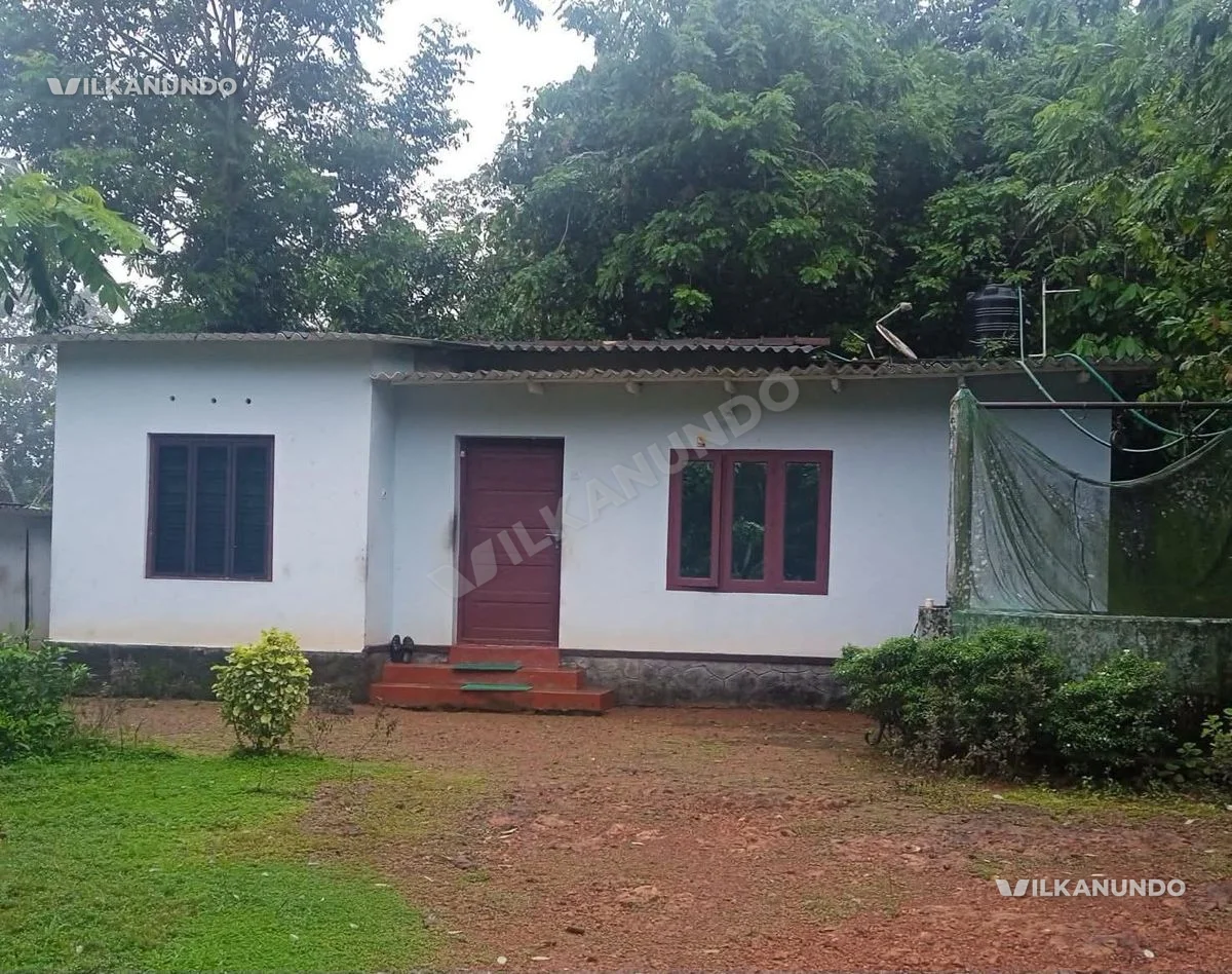 കോട്ടയം ജില്ല കറുകച്ചാൽ കൂത്രപ്പള്ളി പാലമറ്റം റൂട്ടിൽ.20 സെന്റിൽ ആസ്ബറ്റോസ് ഷീറ്റ് ഇട്ട വീട് വില്പനയ്ക്ക്