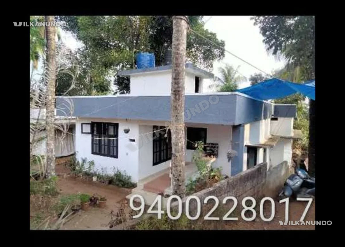 ബിനു ഡേവിഡ്