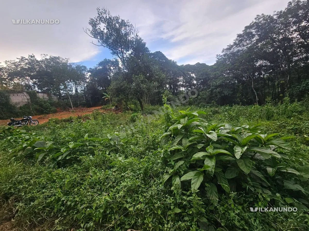 എറണാകുളം ജില്ലയിൽ പൂത്രിക പുളിഞ്ചോട് കുരിശിന് അടുത്തായി 46 cent house പ്ലോട്ട് വിൽപനക്ക്
