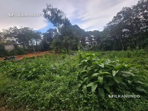 എറണാകുളം ജില്ലയിൽ പൂത്രിക പുളിഞ്ചോട് കുരിശിന് അടുത്തായി 46 cent house പ്ലോട്ട് വിൽപനക്ക്