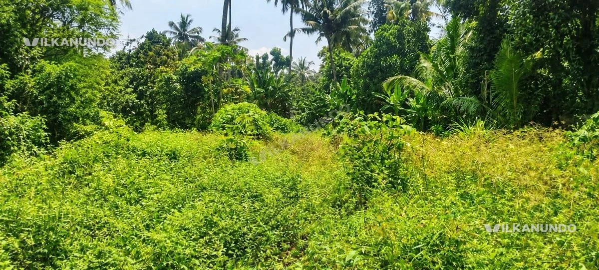 തൃശ്ശൂർ പേരാമംഗലം സെന്ററിൽ നിന്നും വെറും 500 മീറ്റർ ദൂരത്തിൽ 6,7 സെന്റ് ഹൗസ് പ്ലോട്ടുകൾ വില്പനയ്ക്ക്
