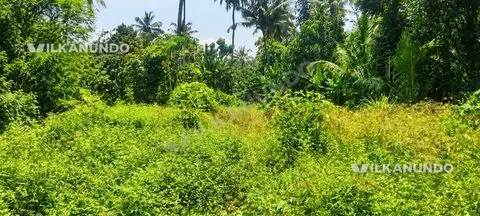 തൃശ്ശൂർ പേരാമംഗലം സെന്ററിൽ നിന്നും വെറും 500 മീറ്റർ ദൂരത്തിൽ 6,7 സെന്റ് ഹൗസ് പ്ലോട്ടുകൾ വില്പനയ്ക്ക്