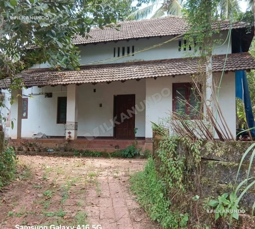പിണറായി - മമ്പറം - കായലോടിനും ഇടയിൽ വീടും 10സെന്റ് സ്ഥലവും വിൽപനക്ക്