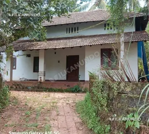 പിണറായി - മമ്പറം - കായലോടിനും ഇടയിൽ വീടും 10സെന്റ് സ്ഥലവും വിൽപനക്ക്