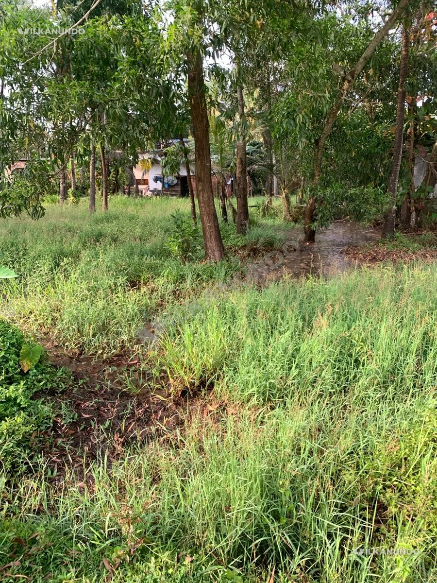 cheruvathur,PADANE near shooters ground ,good plot