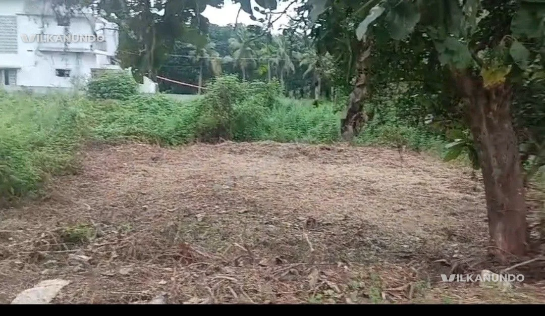 മലപ്പുറം നിലംബൂർ കുളക്കണ്ടം സ്കൂളിന്റെ സമീപം 5 സെന്റ് സ്ഥലം വിൽപ്പനക്ക്