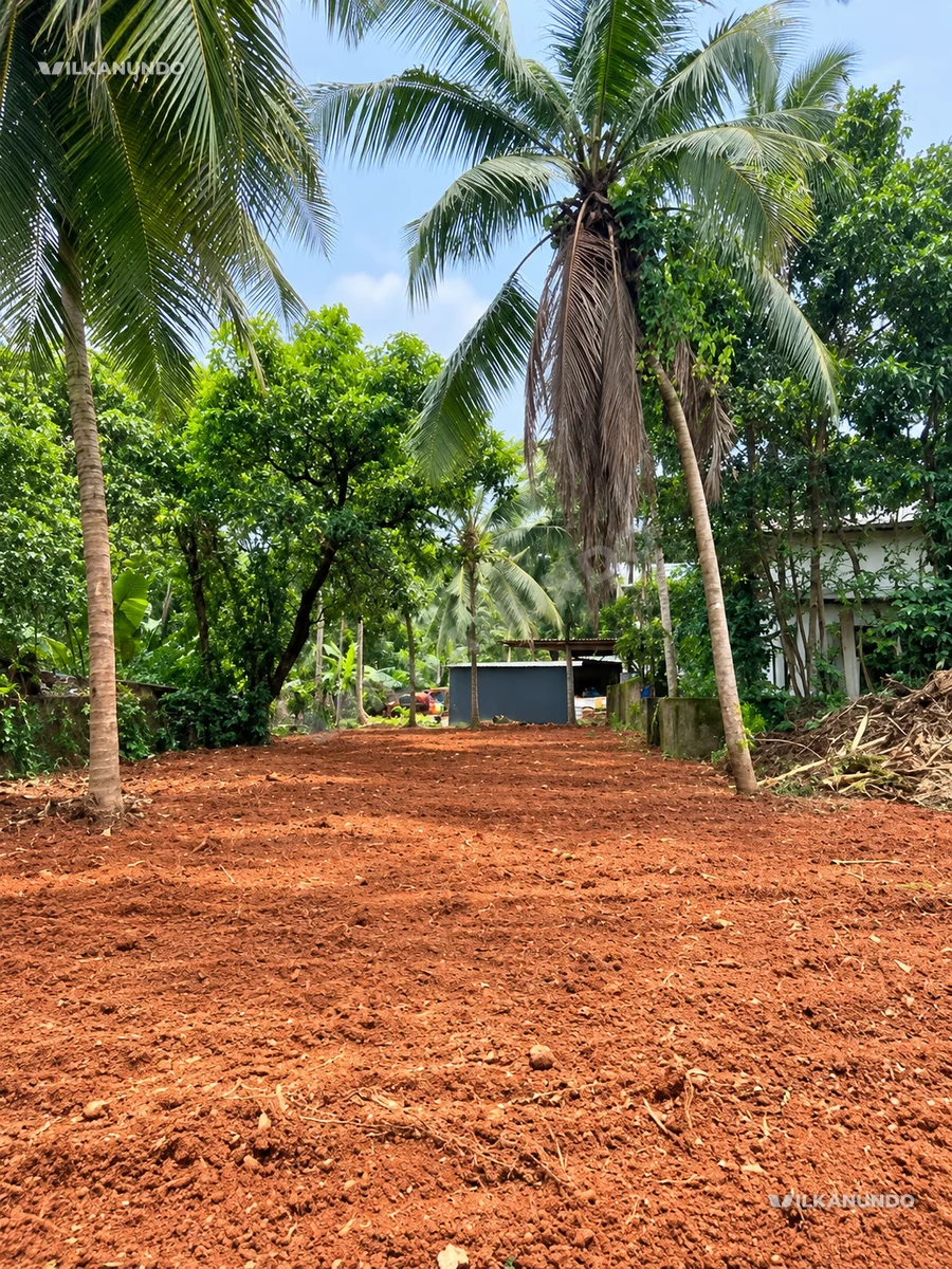 13 cents commercial plot for sale near Cyber park