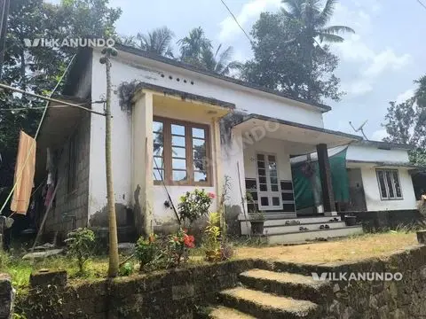 മൂവാറ്റുപുഴ കിഴക്കേക്കരയിൽ4  cent മൂന്ന് ബെഡ്റൂമുള്ള വാർക്ക വീട് വിൽപനക്ക്